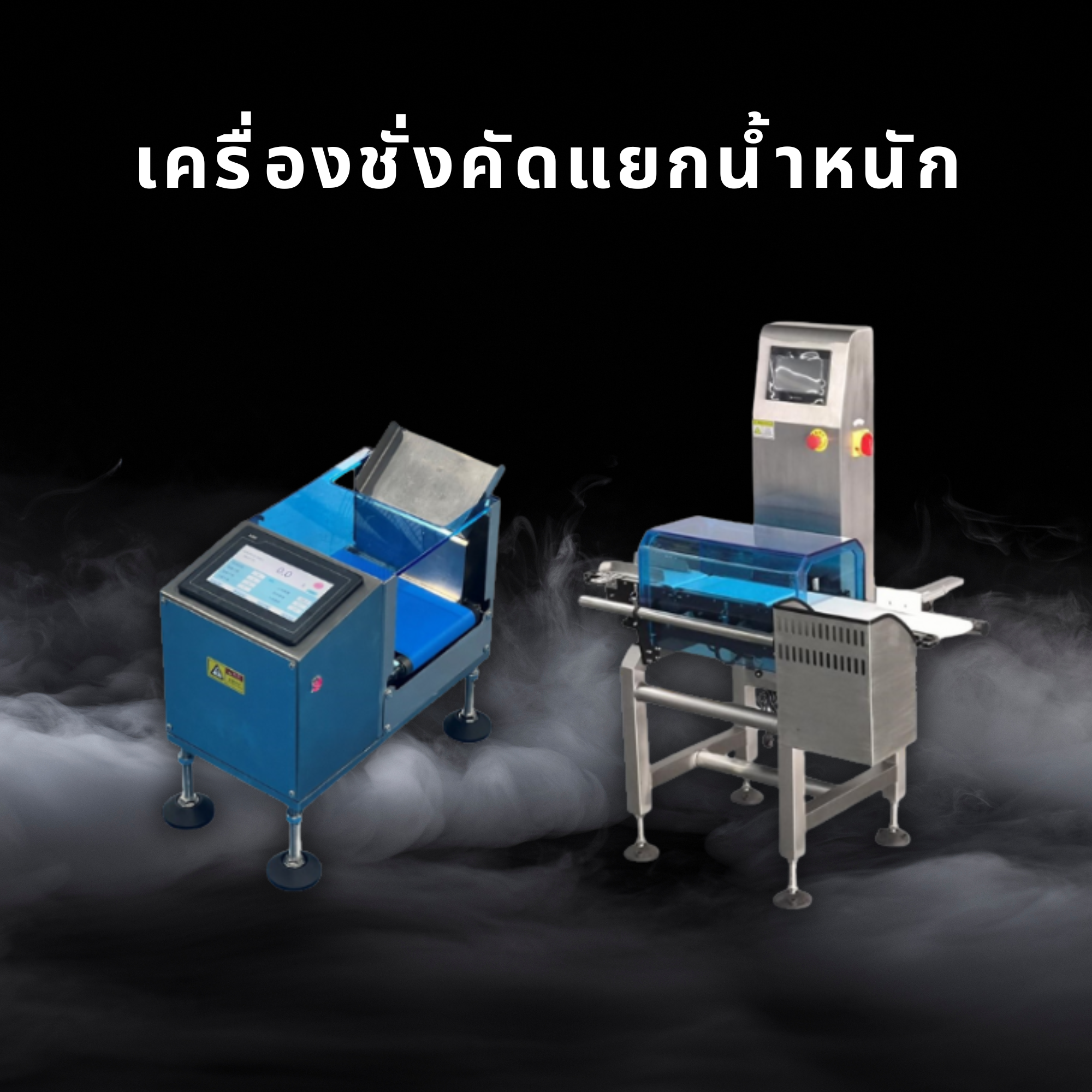 เครื่องชั่งคัดแยกน้ำหนัก